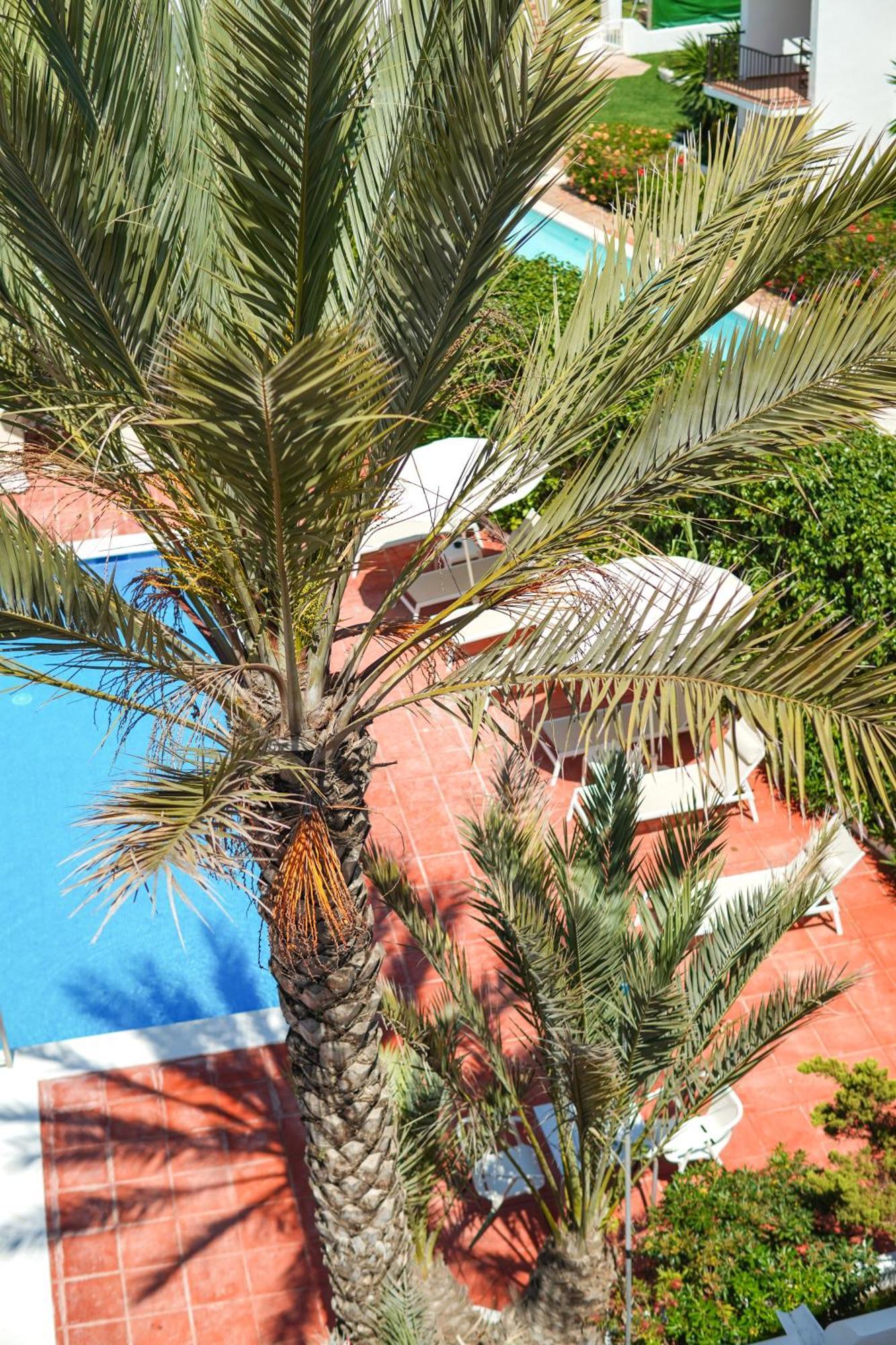 Typic Sandic Apartments Es Cana Dış mekan fotoğraf